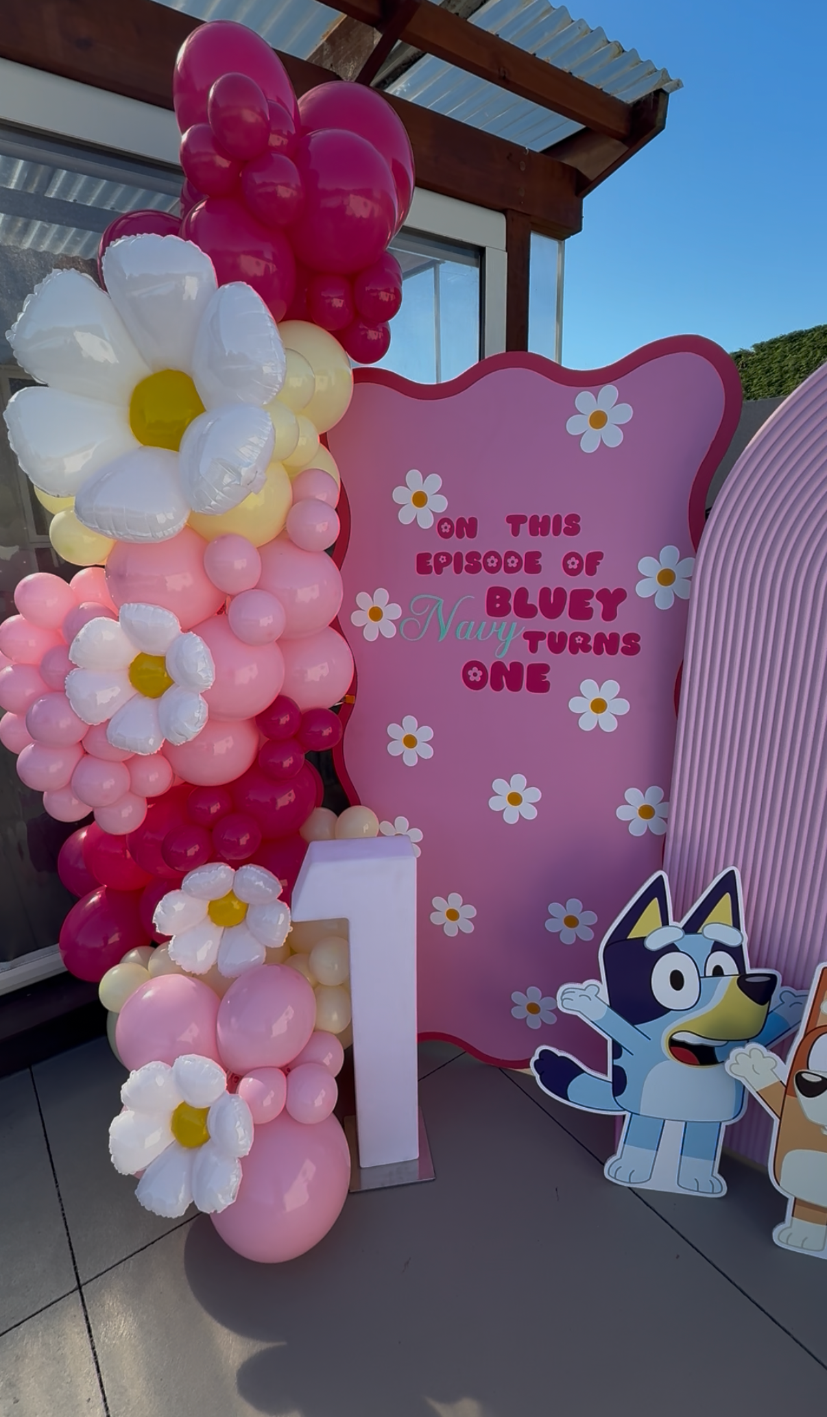 Bluey Party Package - Pink