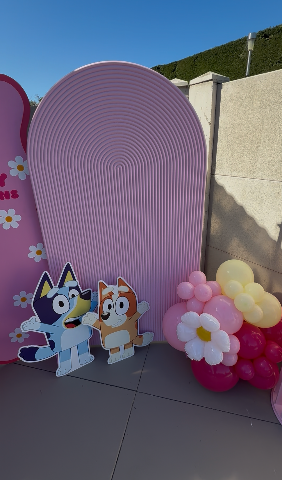 Bluey Party Package - Pink