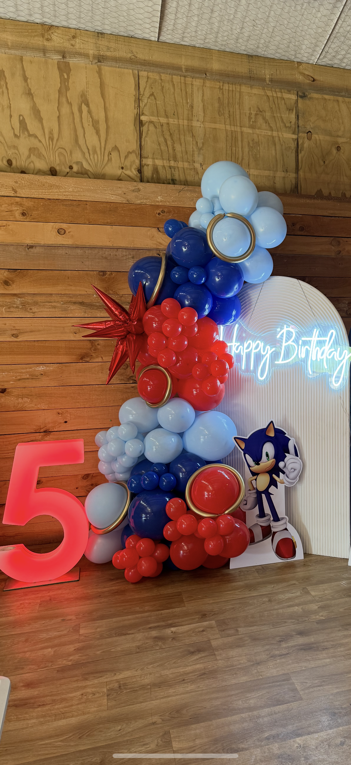 Sonic Party Package