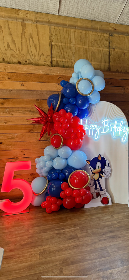Sonic Party Package