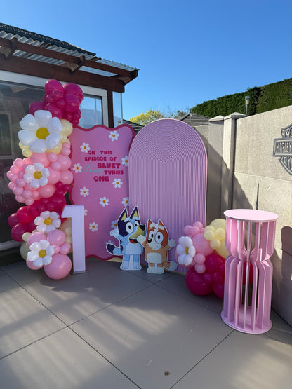 Bluey Party Package - Pink