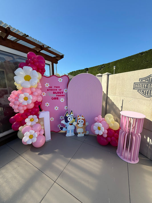 Bluey Party Package - Pink