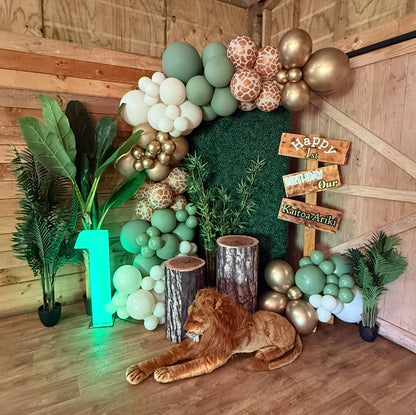 Safari Package - Mini