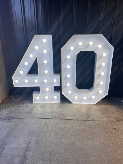 1.2m Marquee Lights - 75