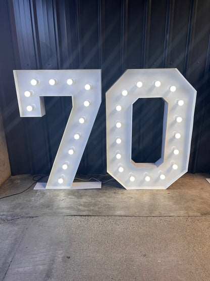 1.2m Marquee Lights - 75