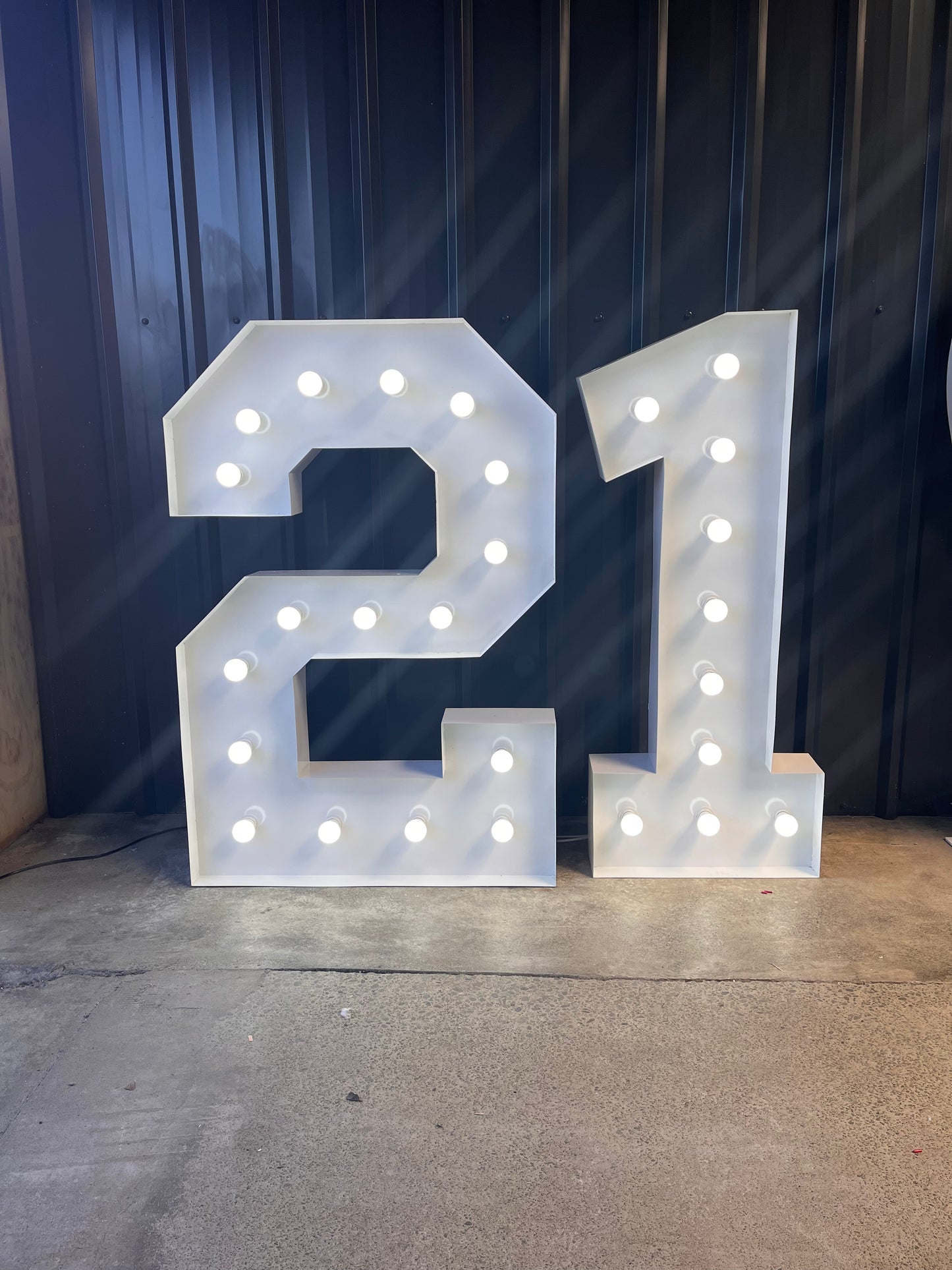 1.2m Marquee Lights - 75