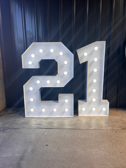 1.2m Marquee Lights - 75