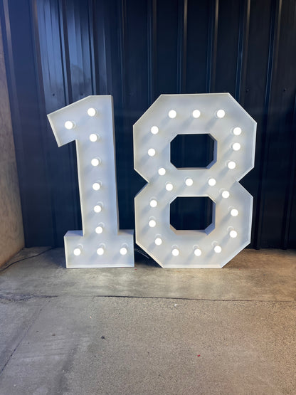 1.2m Marquee Lights - 75